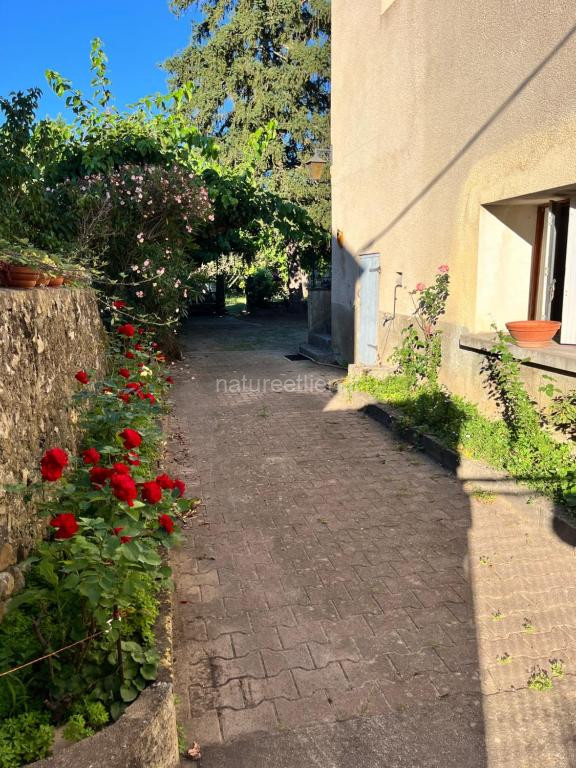 photo de maison au coeur du village